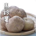 馬鈴薯