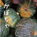 かぼちゃ