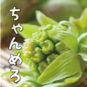 ちゃんめろ