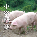小谷野豚