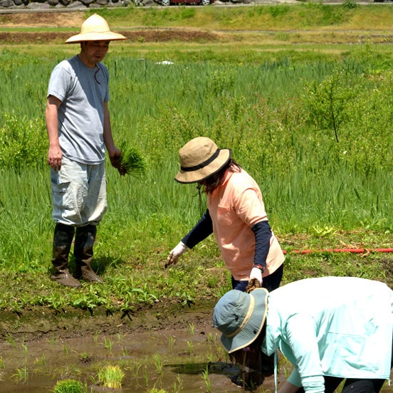 田んぽオーナー